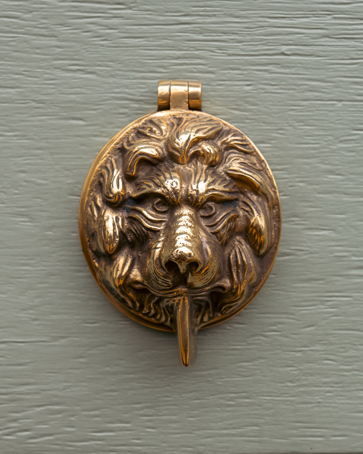 Bronze lion head keyhole cover on a green door
