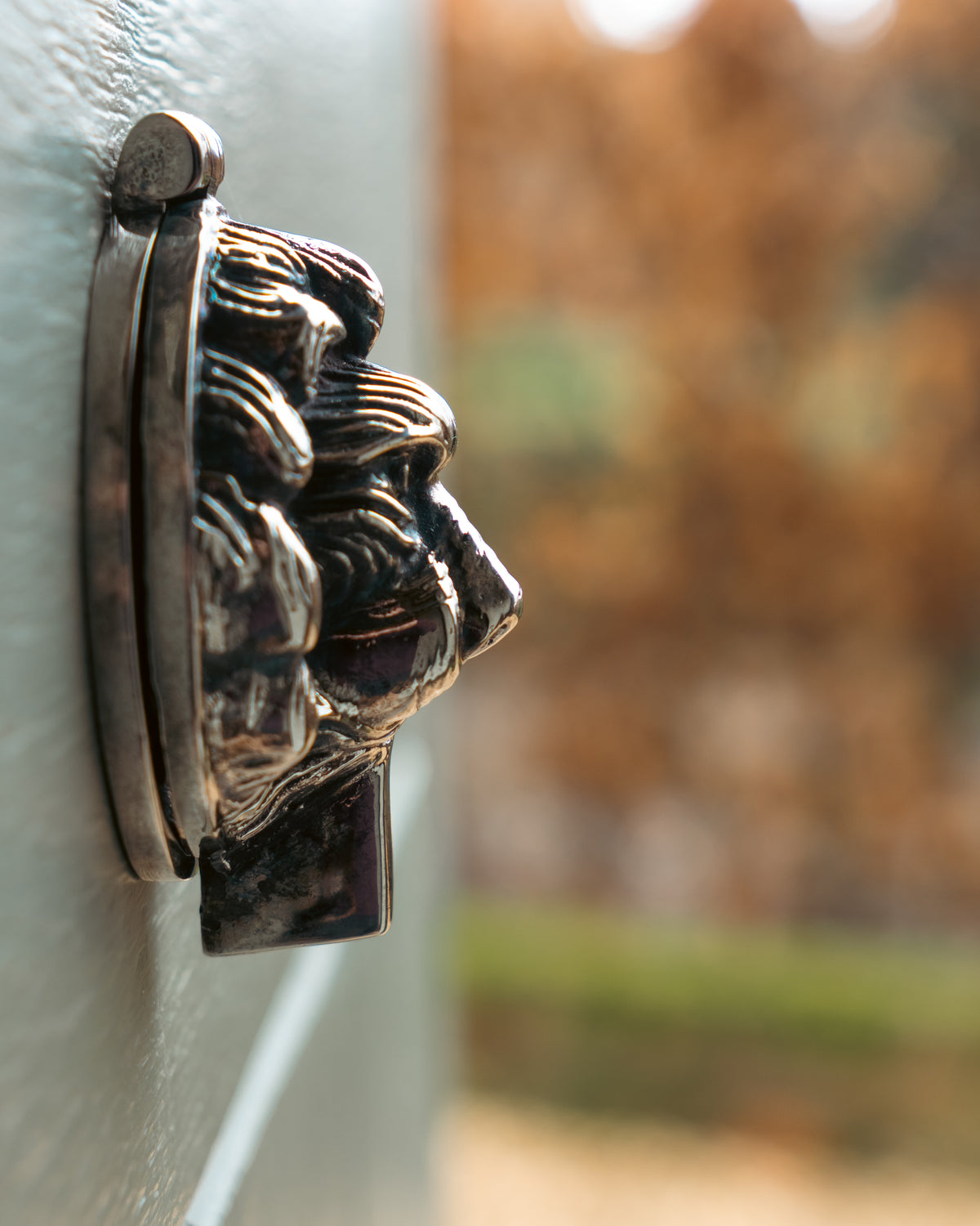 Decorative keyhole cover shaped like a lion's head on a white door with a blurred outdoor background.