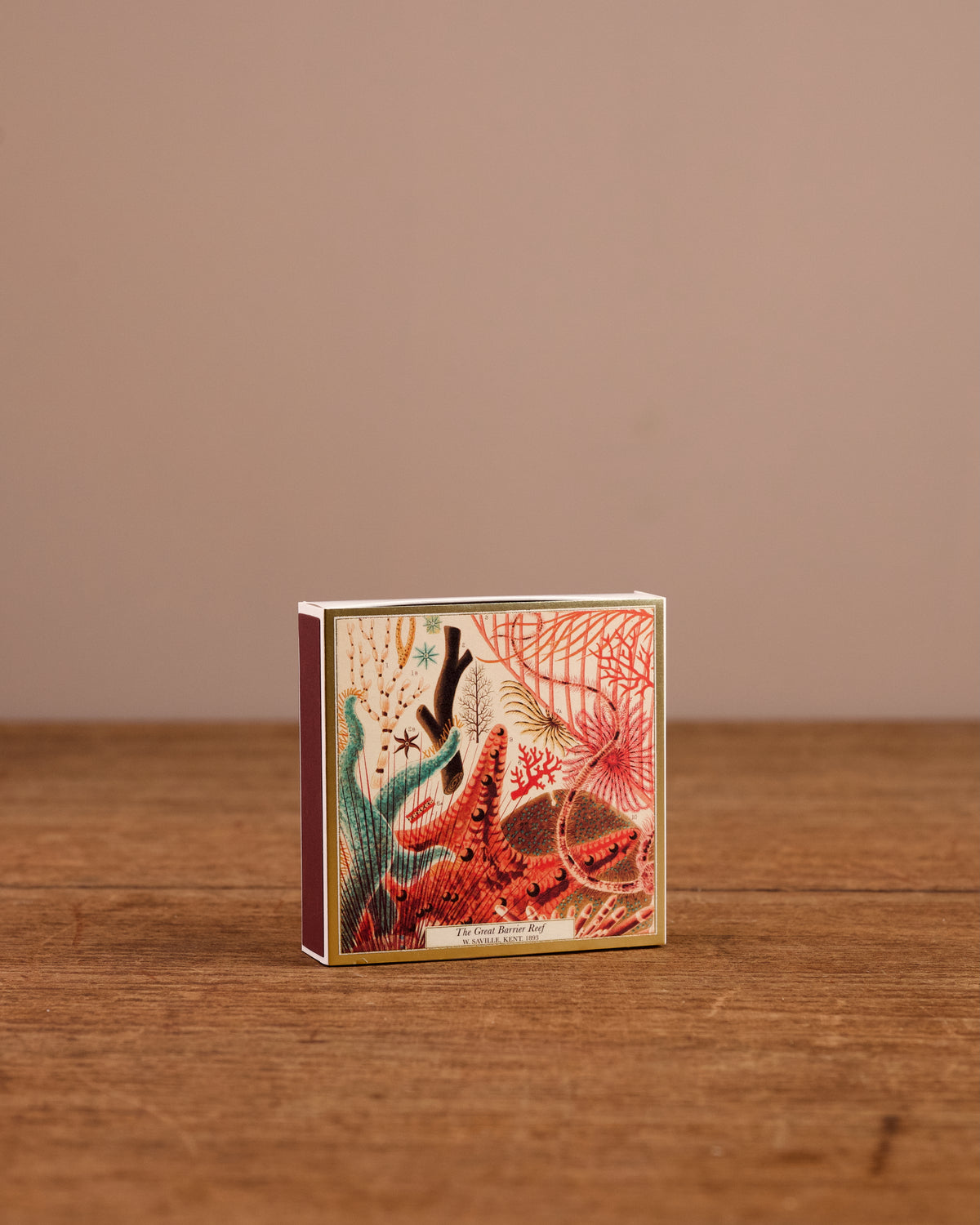 Natural History Matches