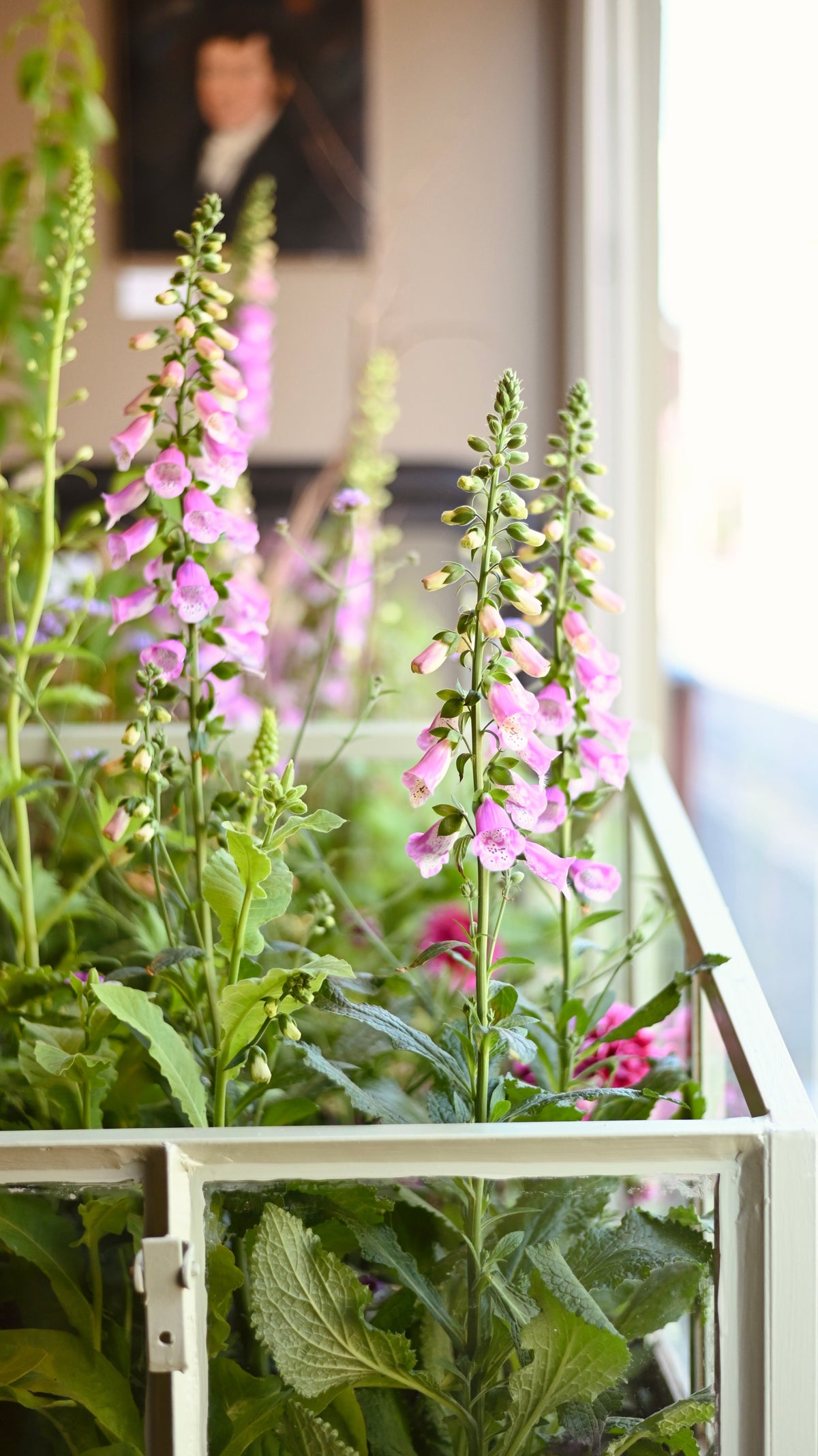 A week of flowers, fragrance, and the occasional bee
