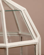 Octagonal glazed garden cloche