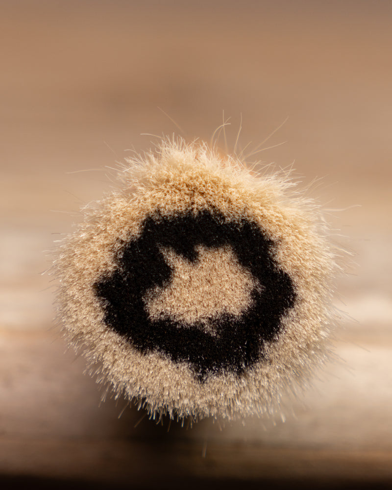 Dusting Brush