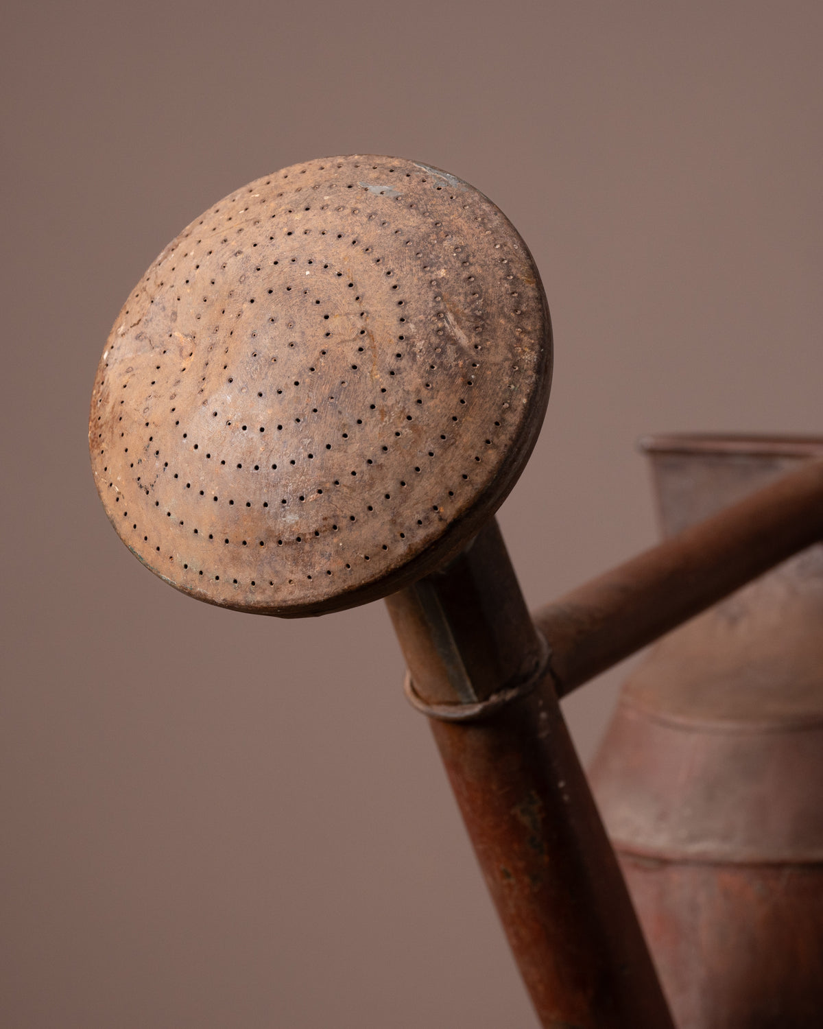 Rust-colored watering rose on a brown background