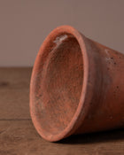 Terracotta pot on a wooden surface with a brown background