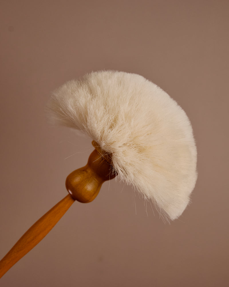 Cobweb Duster