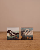 Birds of America Matches