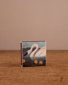 Birds of America Matches