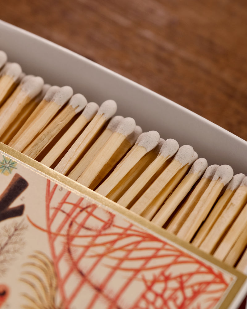 Natural History Matches