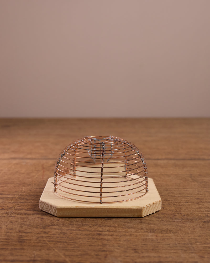 Lobster pot-style mouse trap with copper wire on a wooden base