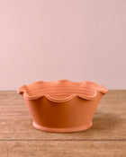 Terracotta planter with scalloped edge on a wooden surface