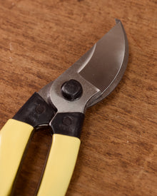 Secateurs