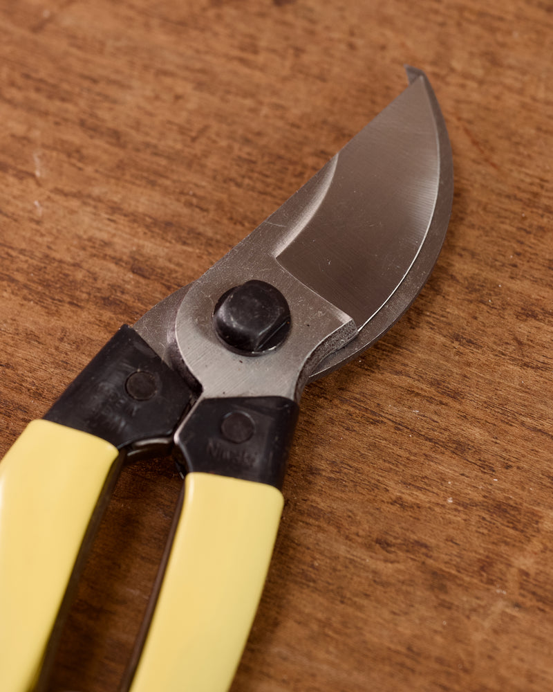 Secateurs