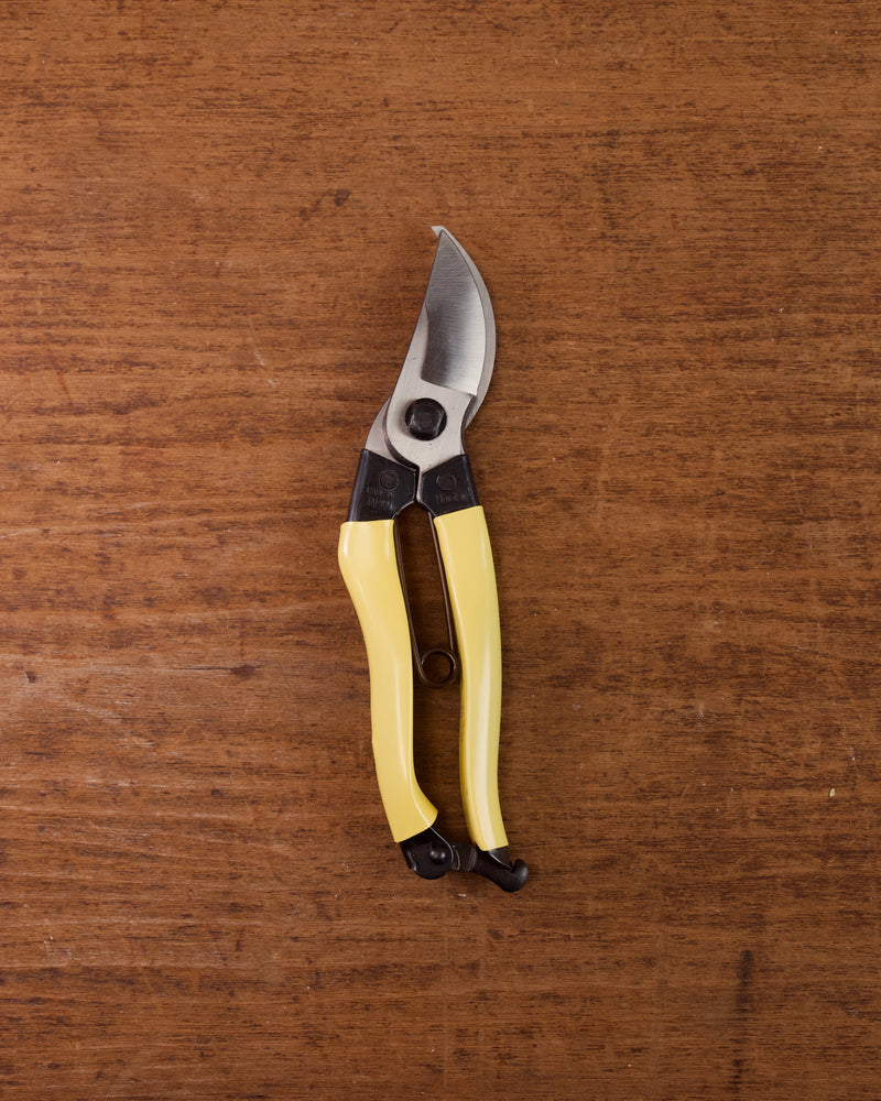 Secateurs
